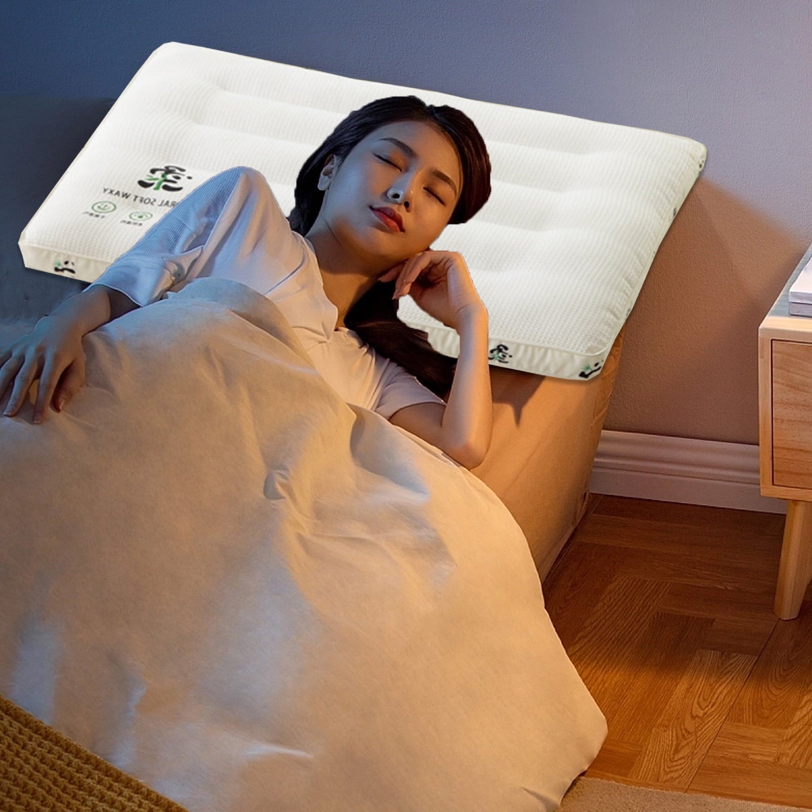 Ultra Thin Flat Pillows for Sleeping Standard Size, 2.5 Inch Slim Flat Pillow for Stomach, Back or Side Sleepers, Ext...