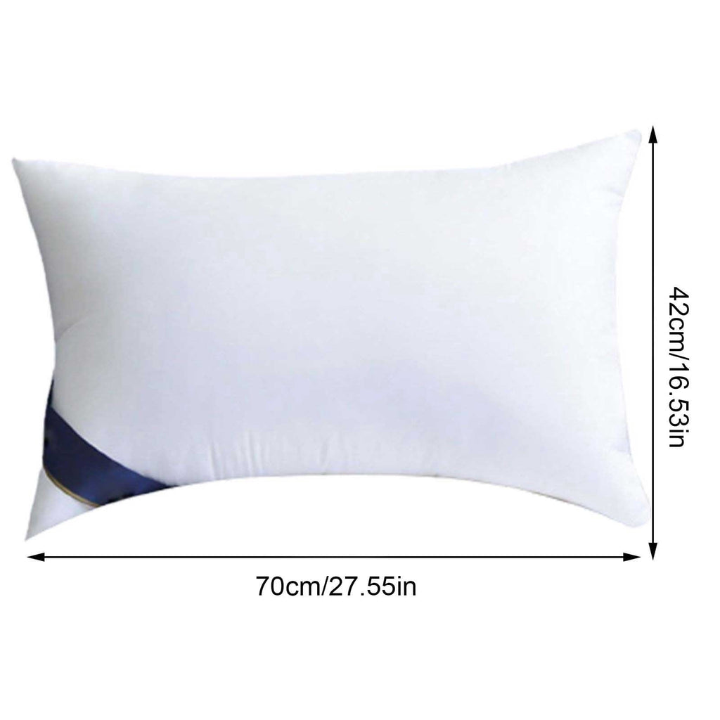 2Pcs Soft Feather Velvet Down Pillow Standard Size, Hotel-grade Feather Pillow for Sleeping, Skin-friendly Cotton Fab...