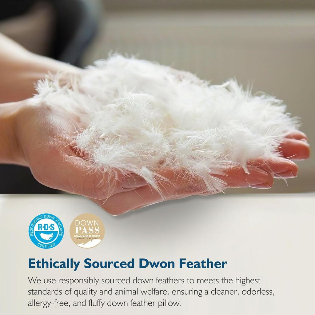 Hypoallergenic 3‑Chamber Goose Feather Down Core Bed Pillows, Standard Size Set of 2, With Microfiber Surround, Soft-...