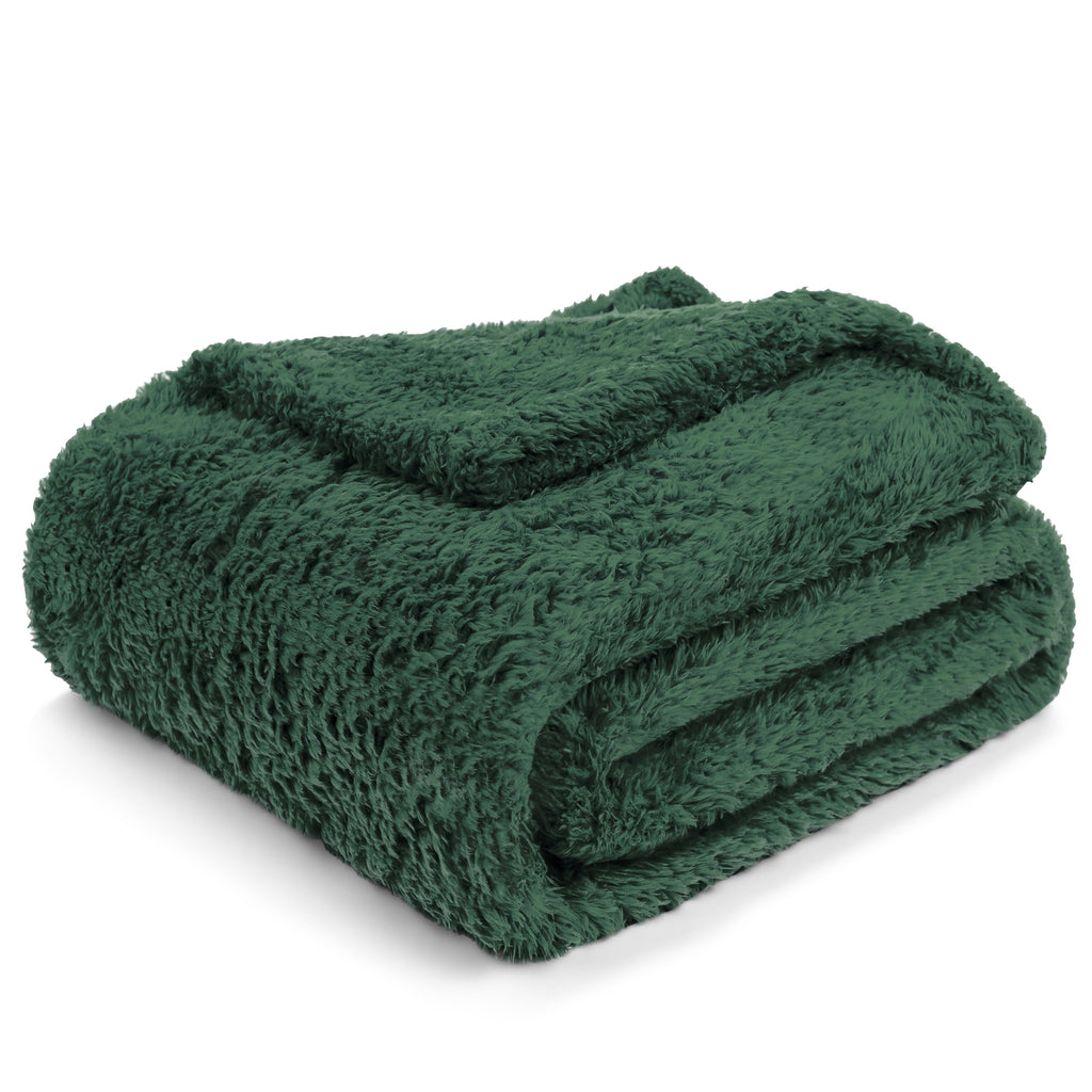 Sherpa Throw Blanket For Couch Sofa, Emerald Green Fluffy Warm Plush Blanket for Bed, Cozy Super Soft Lightweight Thr...