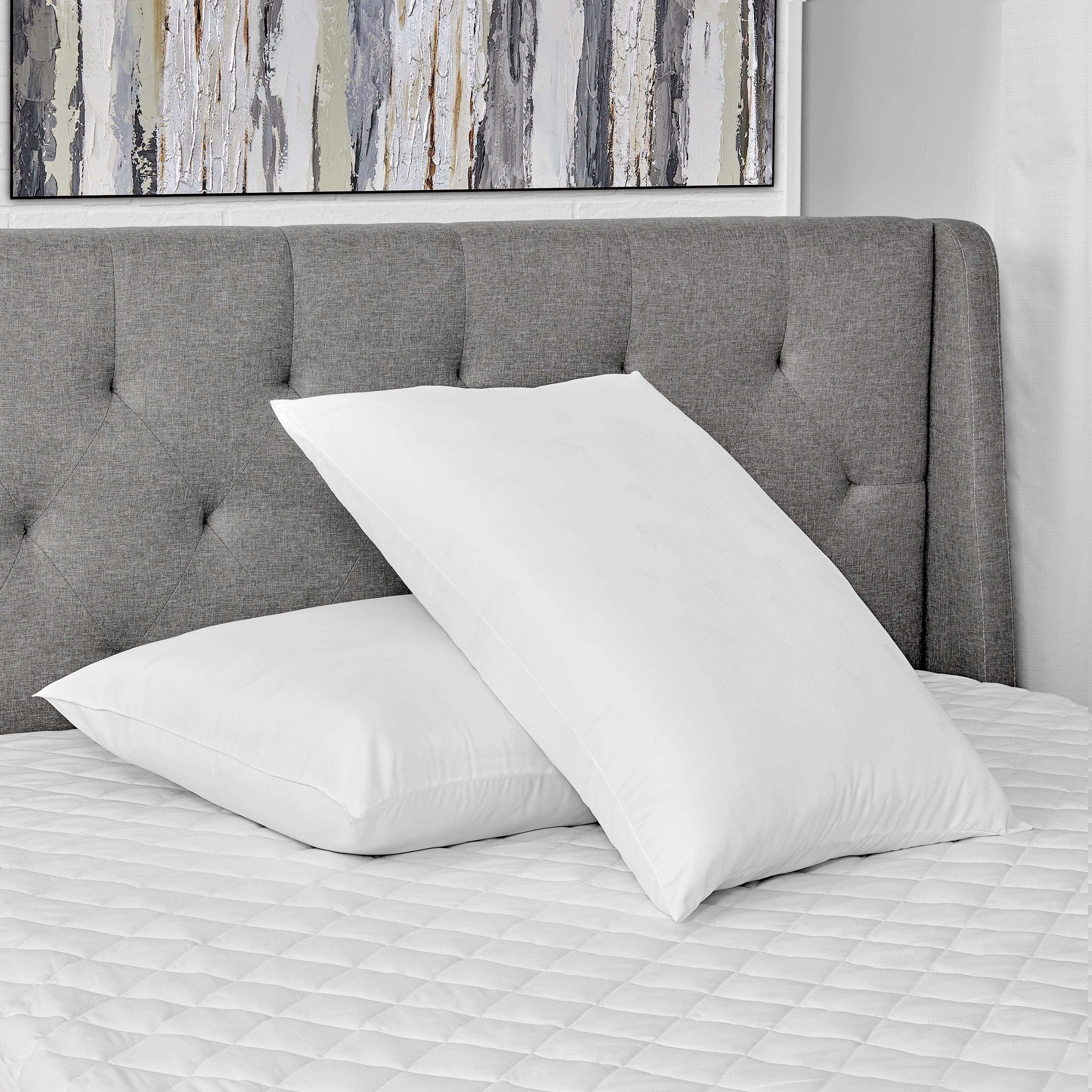 Cotton Fresh Bed Pillow, S/Q, White- 2 Pack Antimicrobial Allergy Defense Fabric